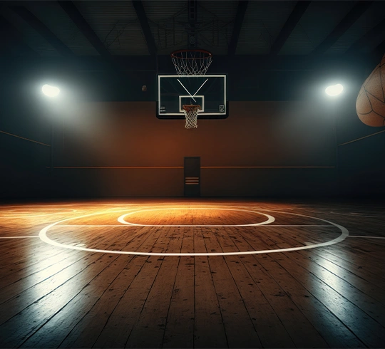 BasketballCourt540x490